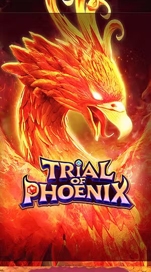 Bão Vàng Đại Cường